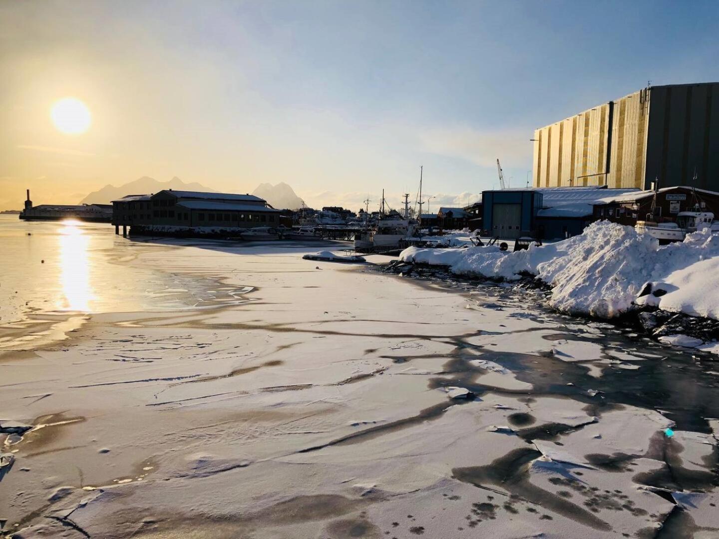 Nora'S Waterfront Cabin Svolvaer Exterior photo